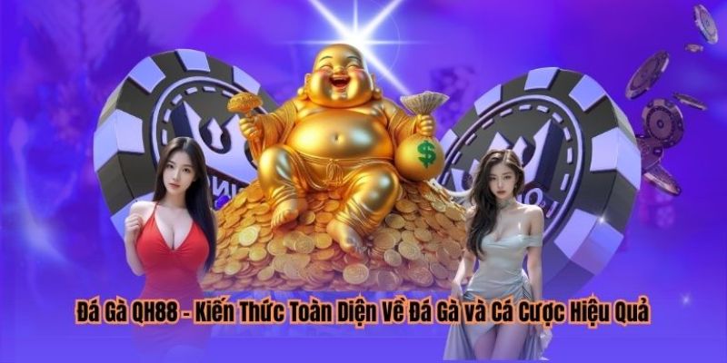 Đá gà QH88 Kinh Nghiệm Và Chiến Thuật Khi Tham Gia Đá Gà QH88