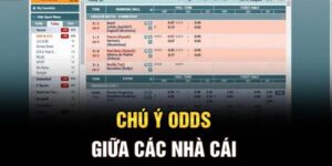 Tổng quan về phần mềm soi Odds QH88