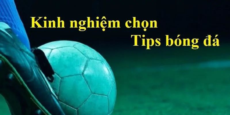 Tips bóng đá Ưu Điểm Nổi Bật Của Tips Bóng Đá QH88